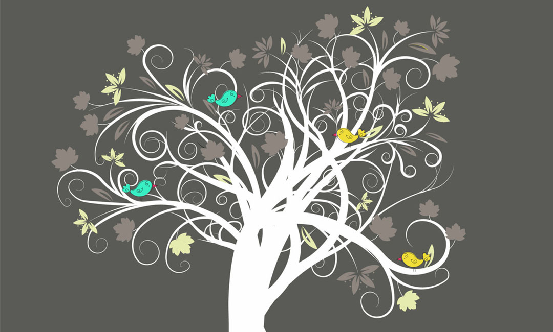 长寿智慧联合三级分销案例